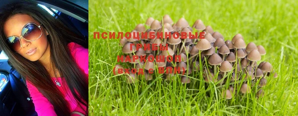гидропоника Абинск